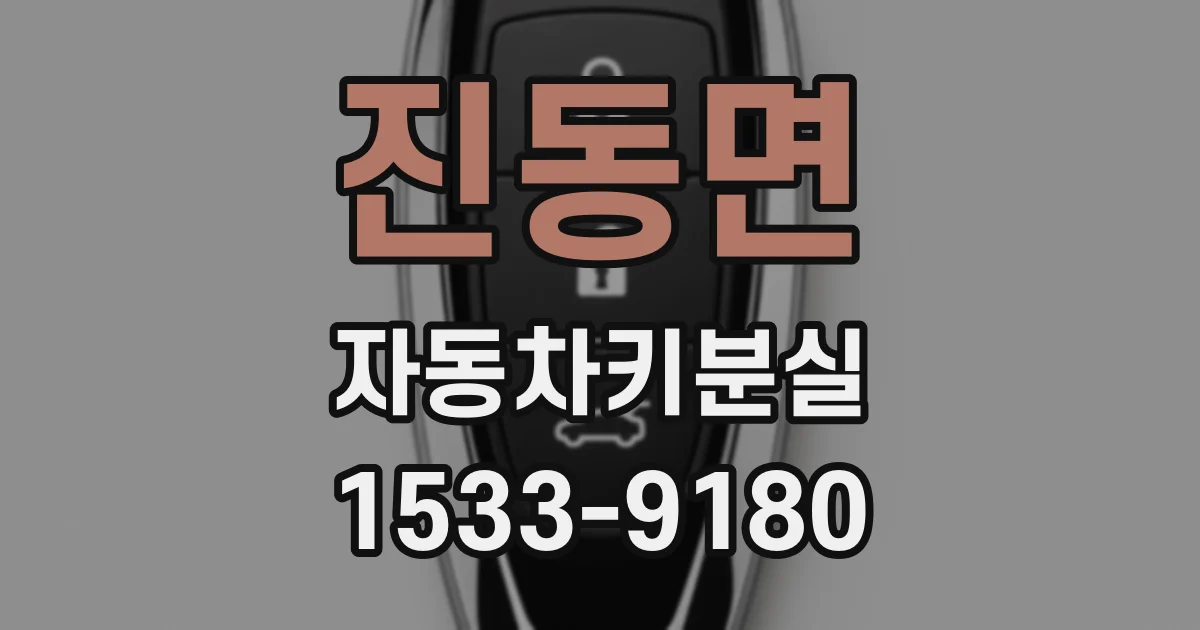 진동면 자동차키분실