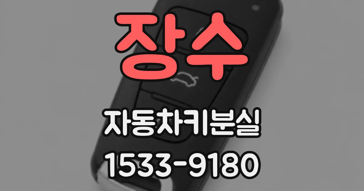 장수 자동차키분실