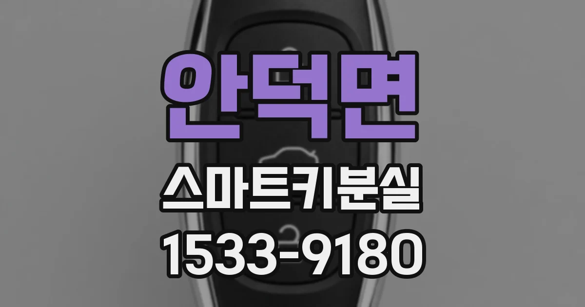 안덕면 스마트키분실