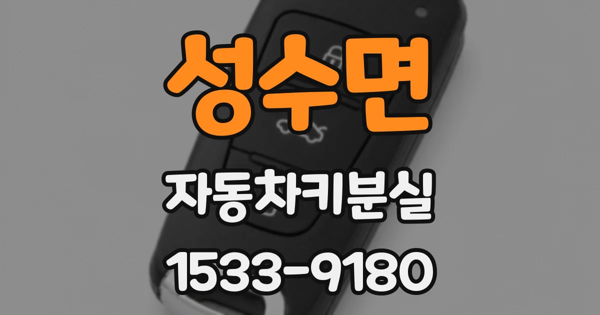 성수면 자동차키분실