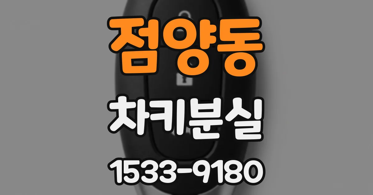 점양동 차키분실