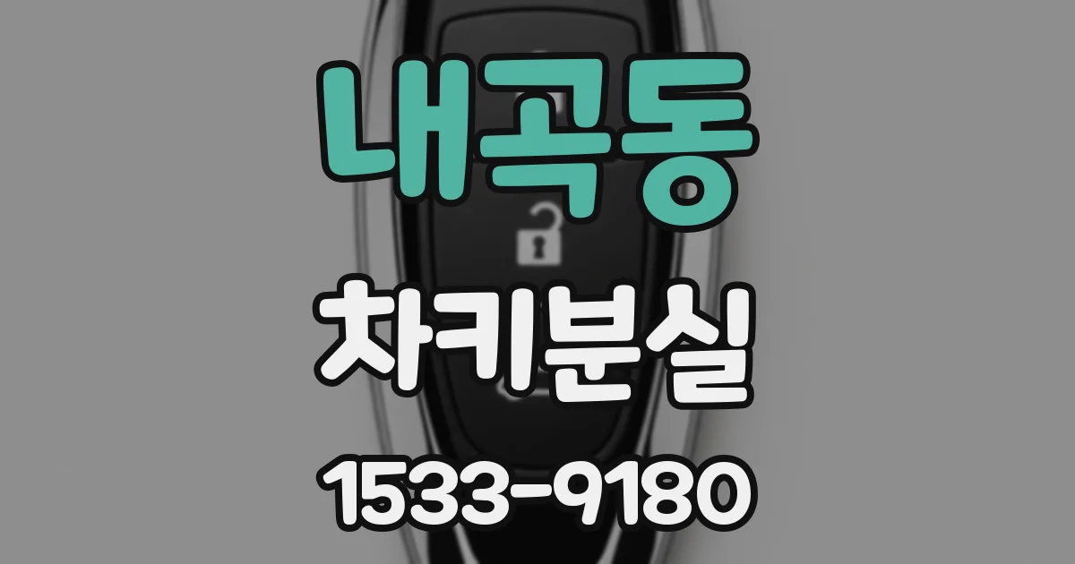 내곡동 차키분실