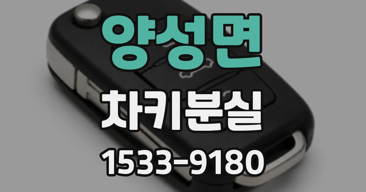 양성면 차키분실