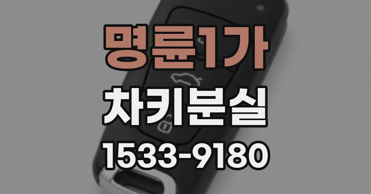 명륜1가 차키분실