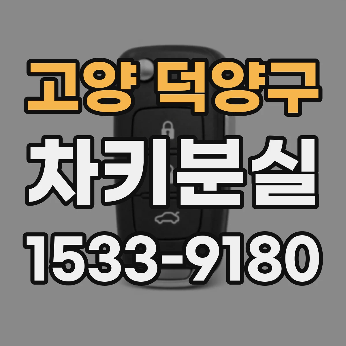 고양 덕양구 차키분실