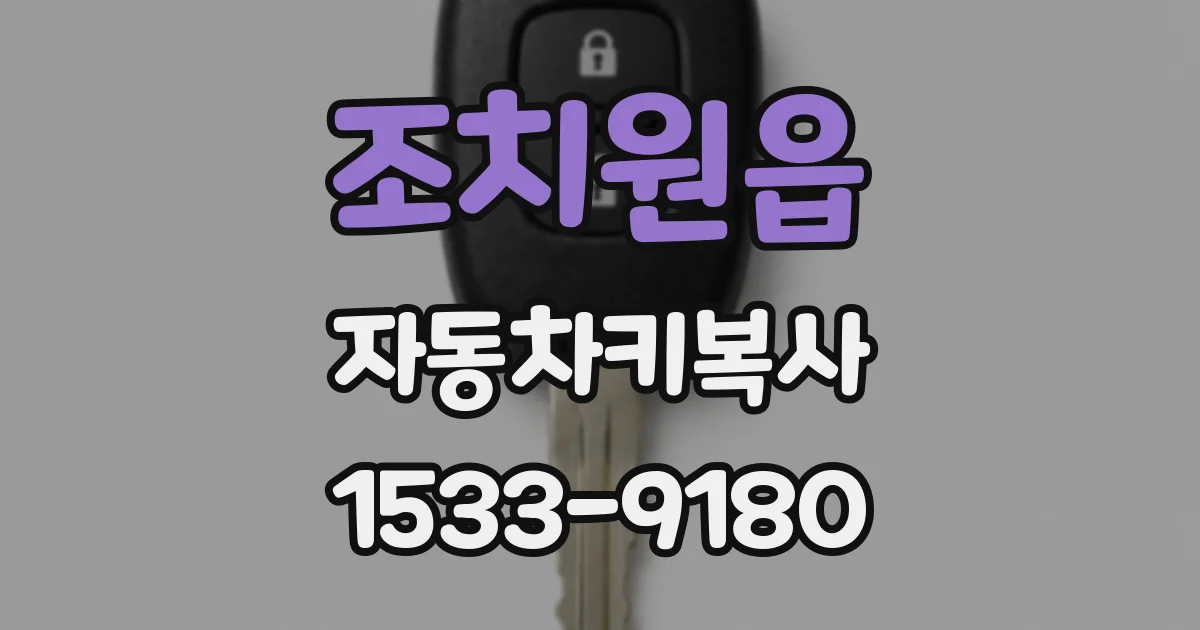 조치원읍 자동차키복사