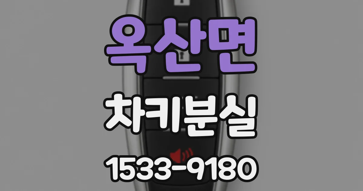 옥산면 차키분실