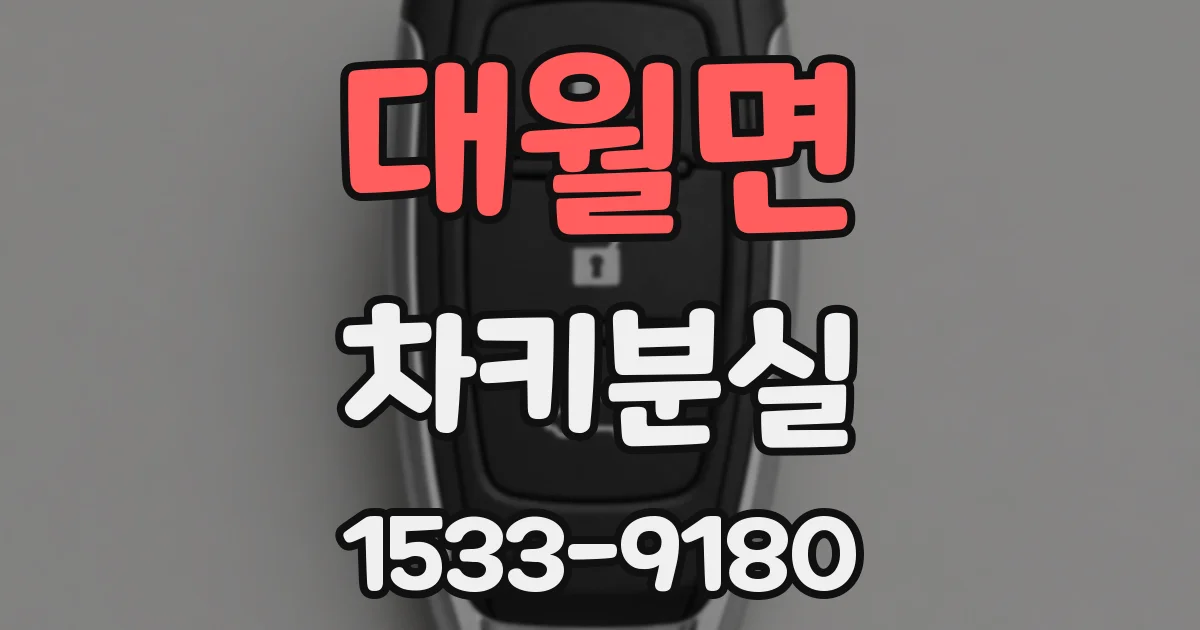 대월면 차키분실