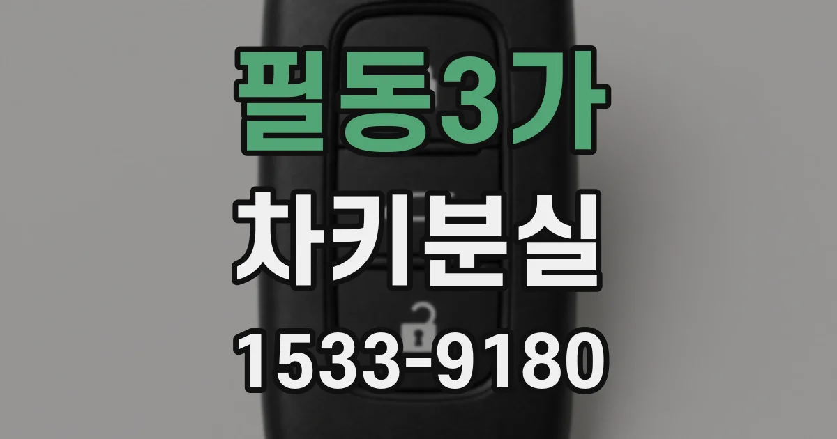 필동3가 차키분실
