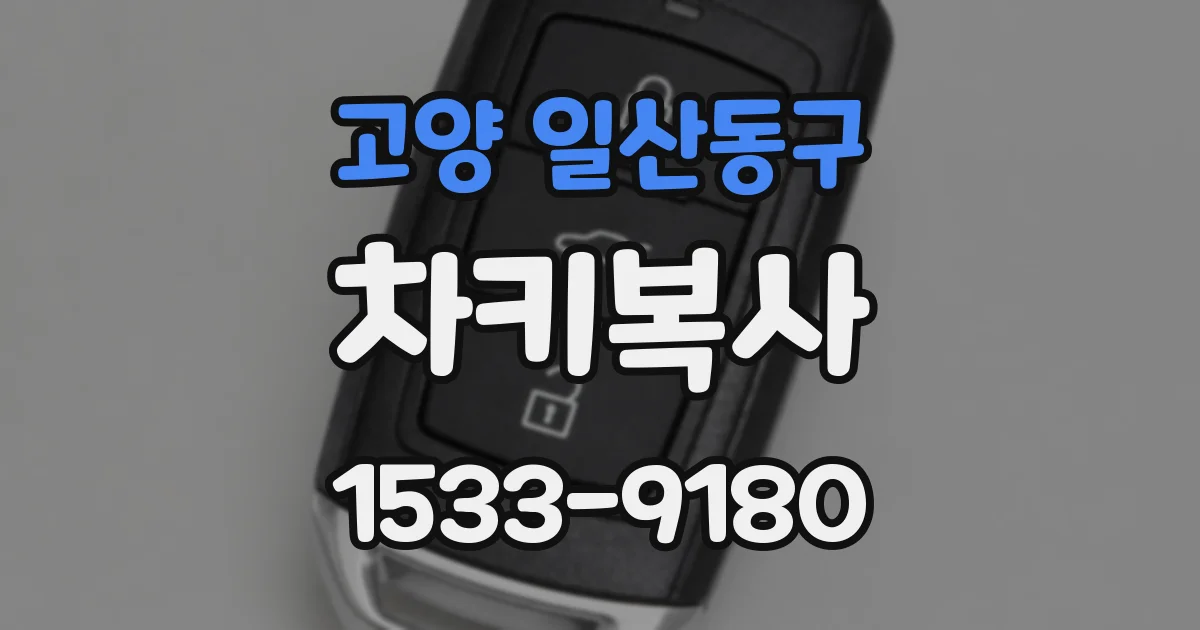 고양 일산동구 차키복사
