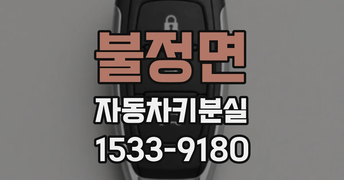 불정면 자동차키분실