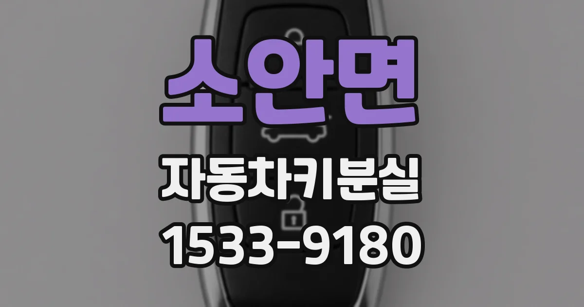 소안면 자동차키분실
