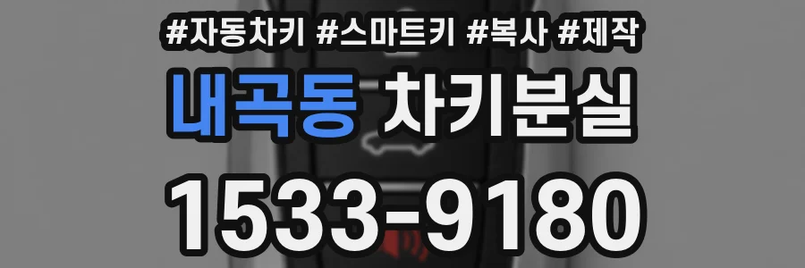 내곡동 차키분실