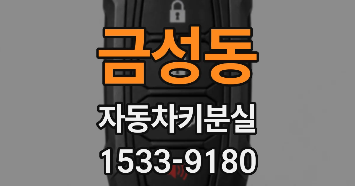 금성동 자동차키분실
