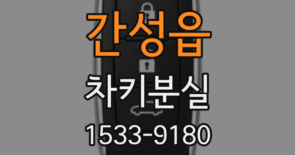 간성읍 차키분실