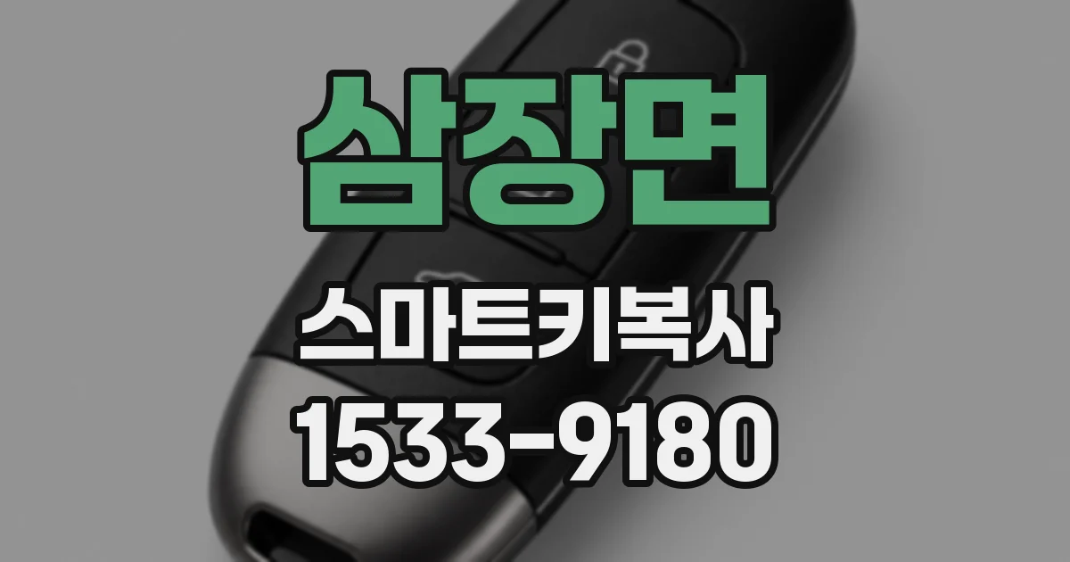 삼장면 스마트키복사
