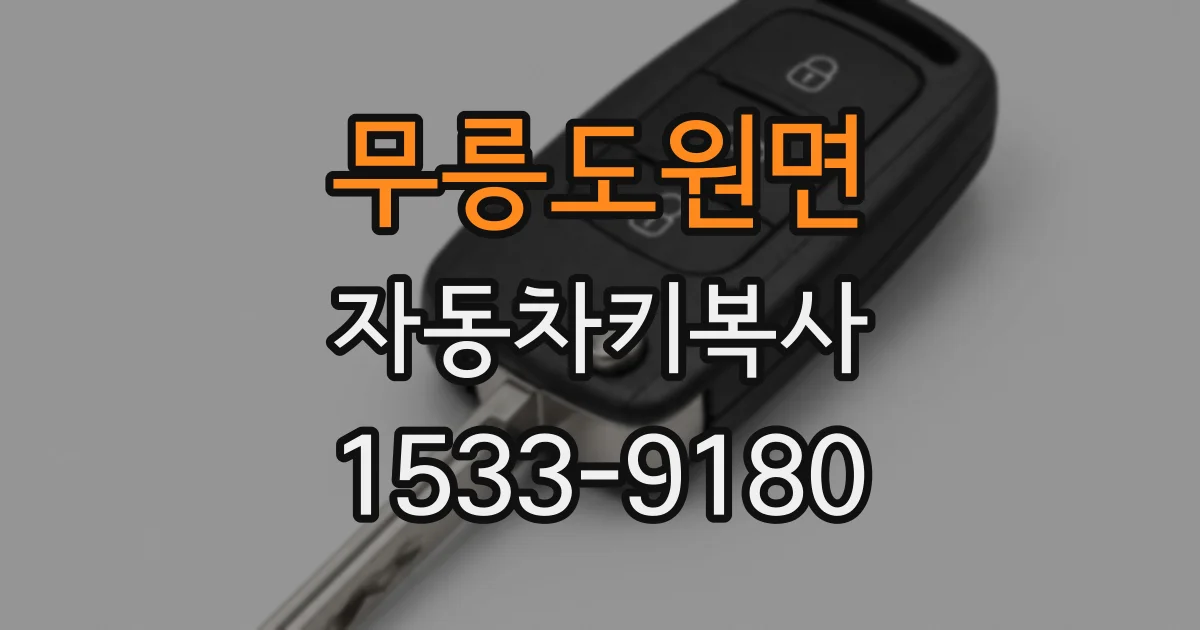 무릉도원면 자동차키복사