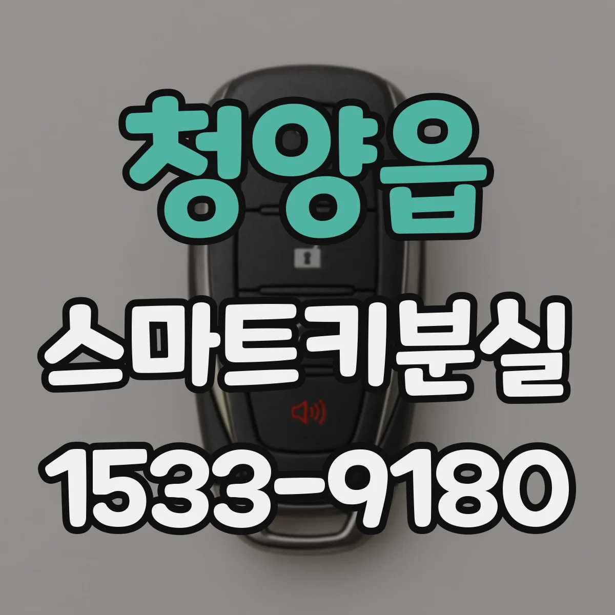 청양읍 스마트키분실