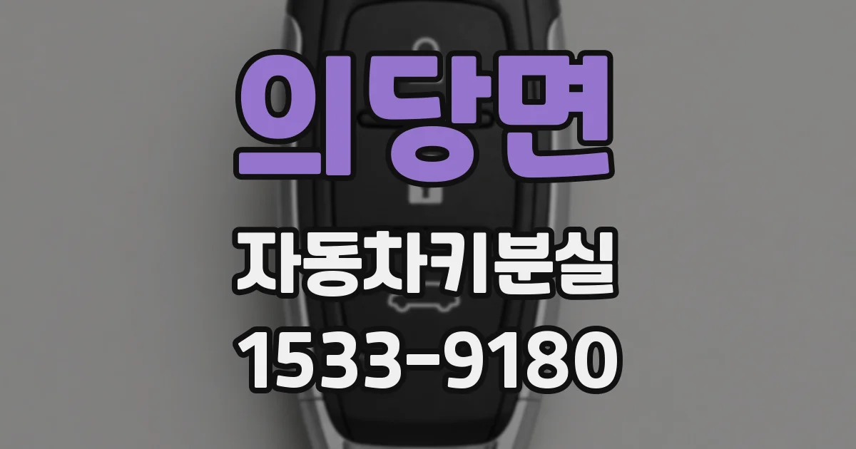 의당면 자동차키분실