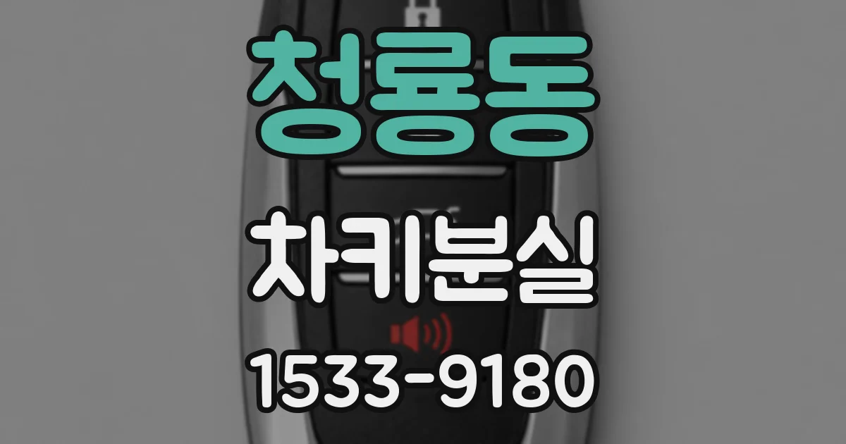 청룡동 차키분실