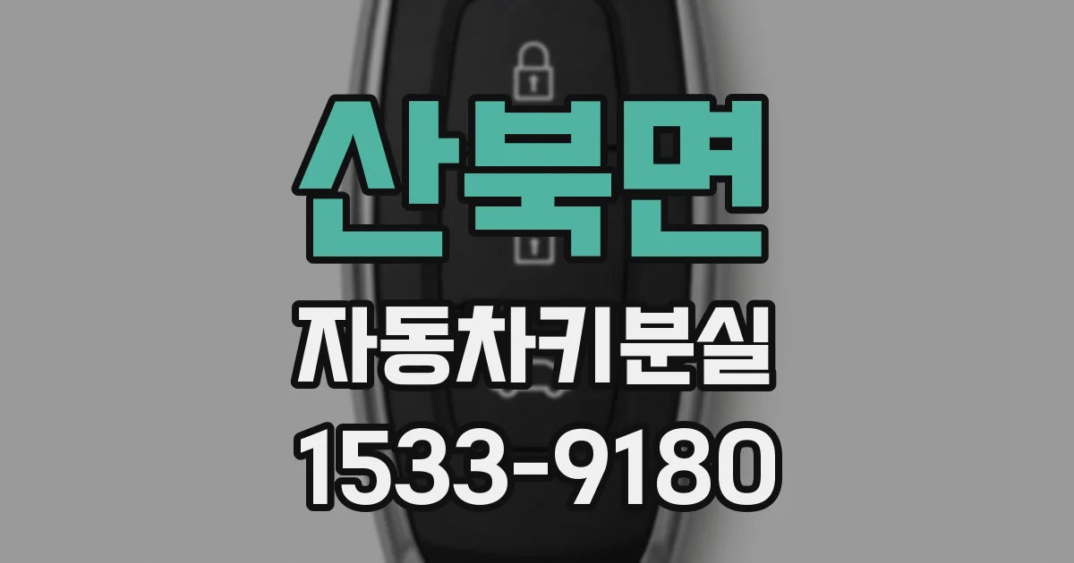 산북면 자동차키분실