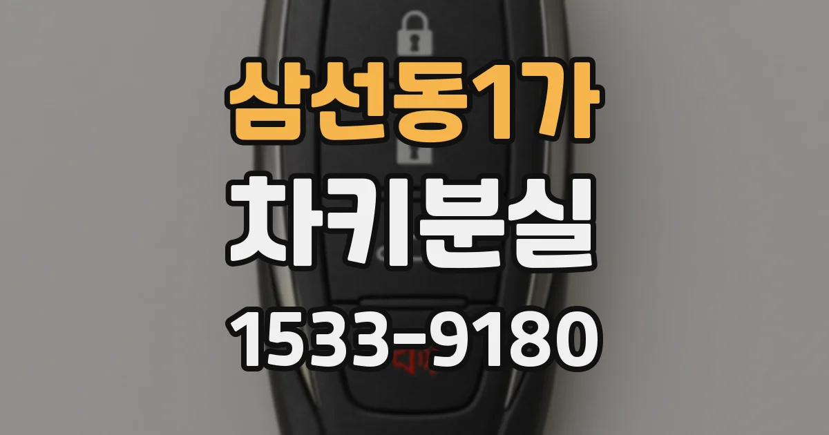 삼선동1가 차키분실