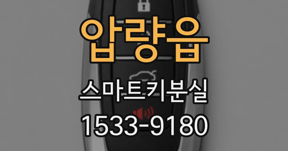 압량읍 스마트키분실