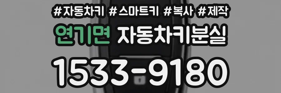 연기면 자동차키분실
