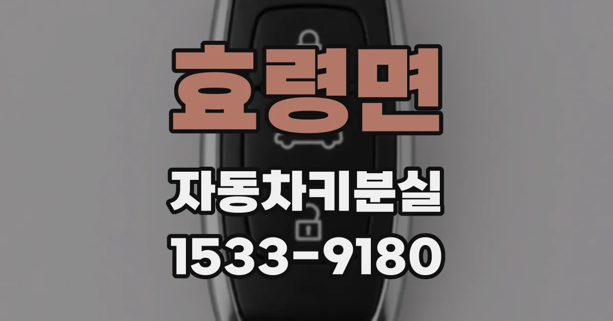 효령면 자동차키분실
