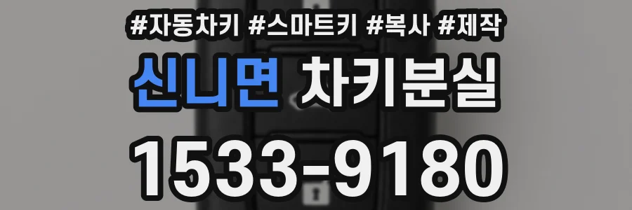 신니면 차키분실