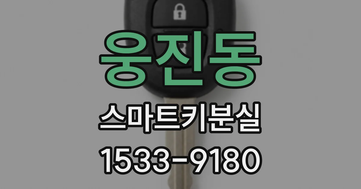 웅진동 스마트키분실