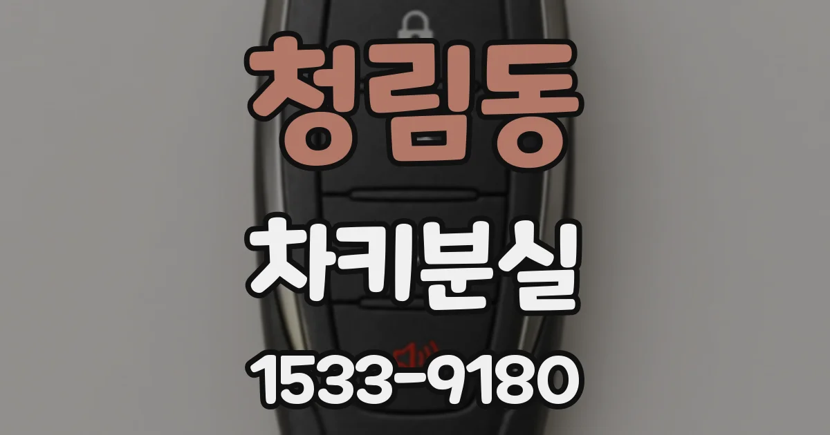 청림동 차키분실