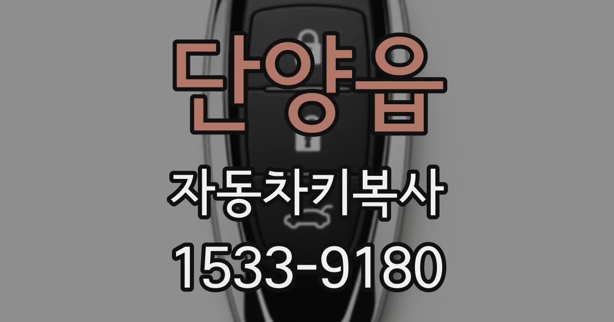 단양읍 자동차키복사