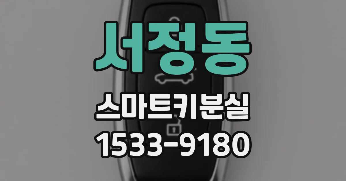 서정동 스마트키분실