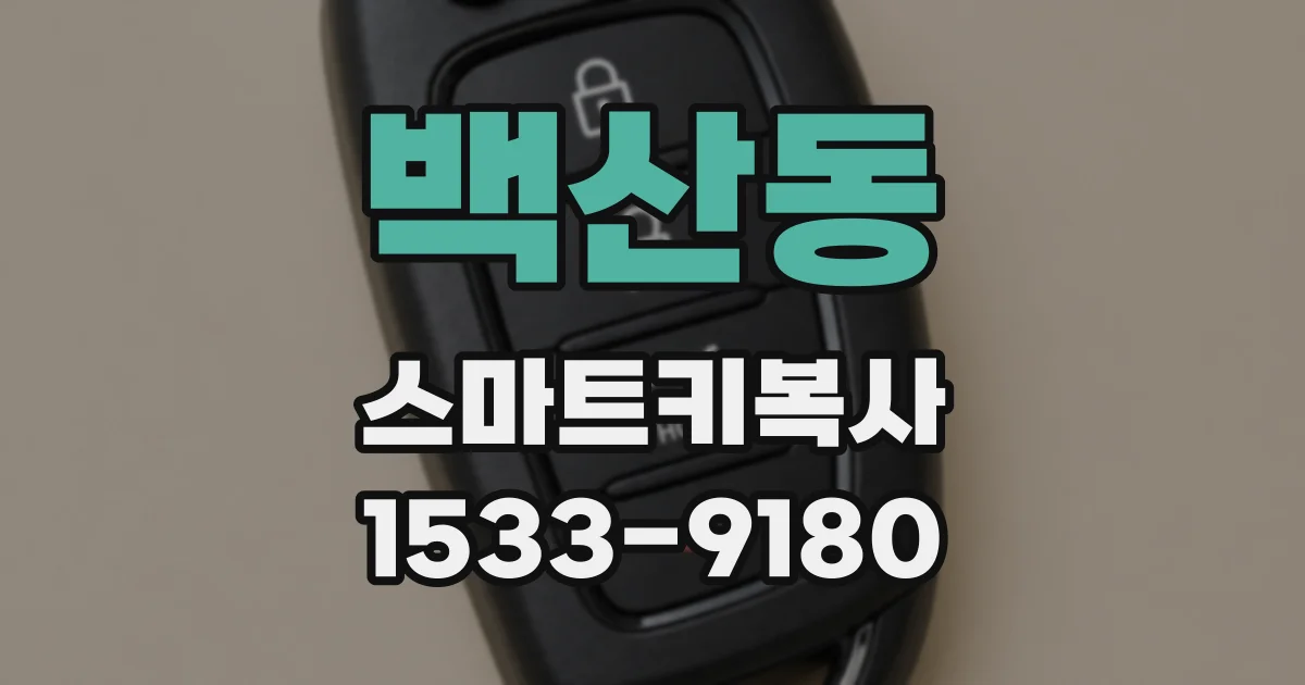 백산동 스마트키복사