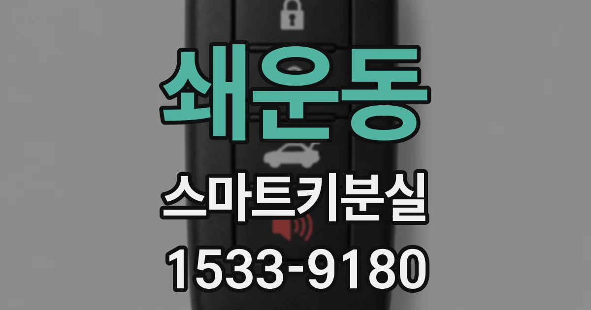 쇄운동 스마트키분실