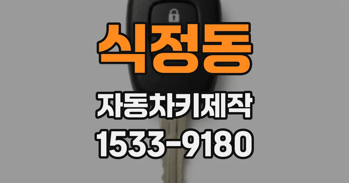 식정동 자동차키제작