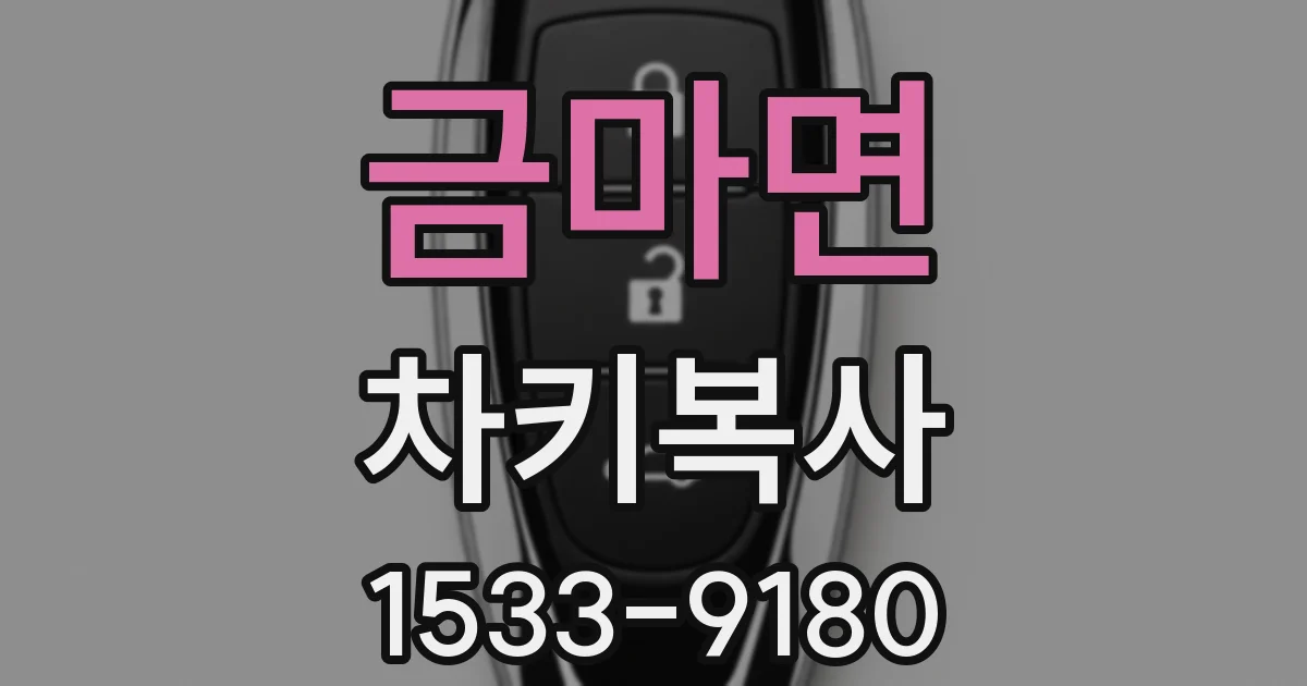 금마면 차키복사