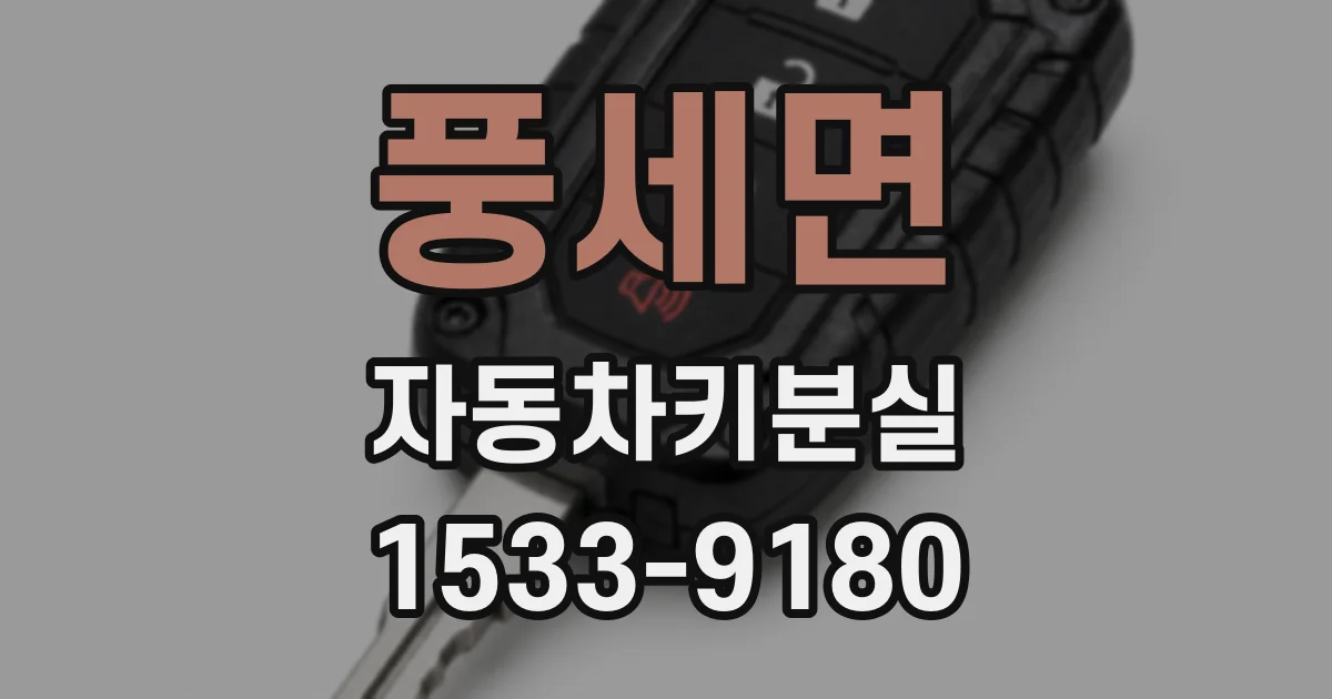 풍세면 자동차키분실