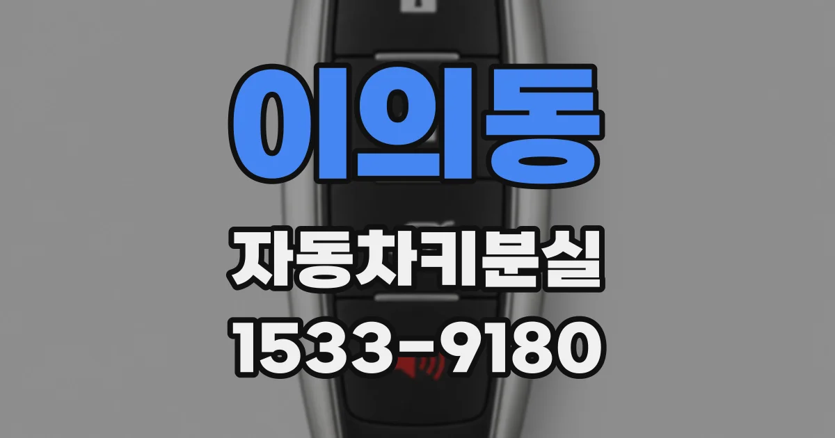 이의동 자동차키분실