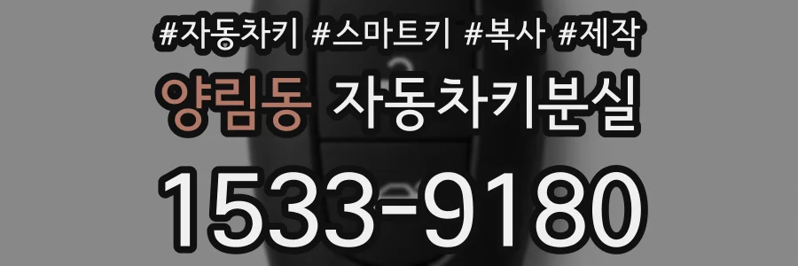 양림동 자동차키분실