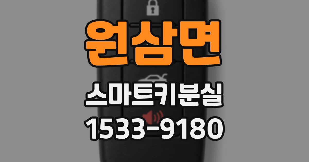 원삼면 스마트키분실