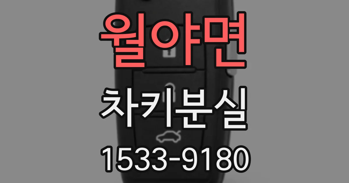 월야면 차키분실