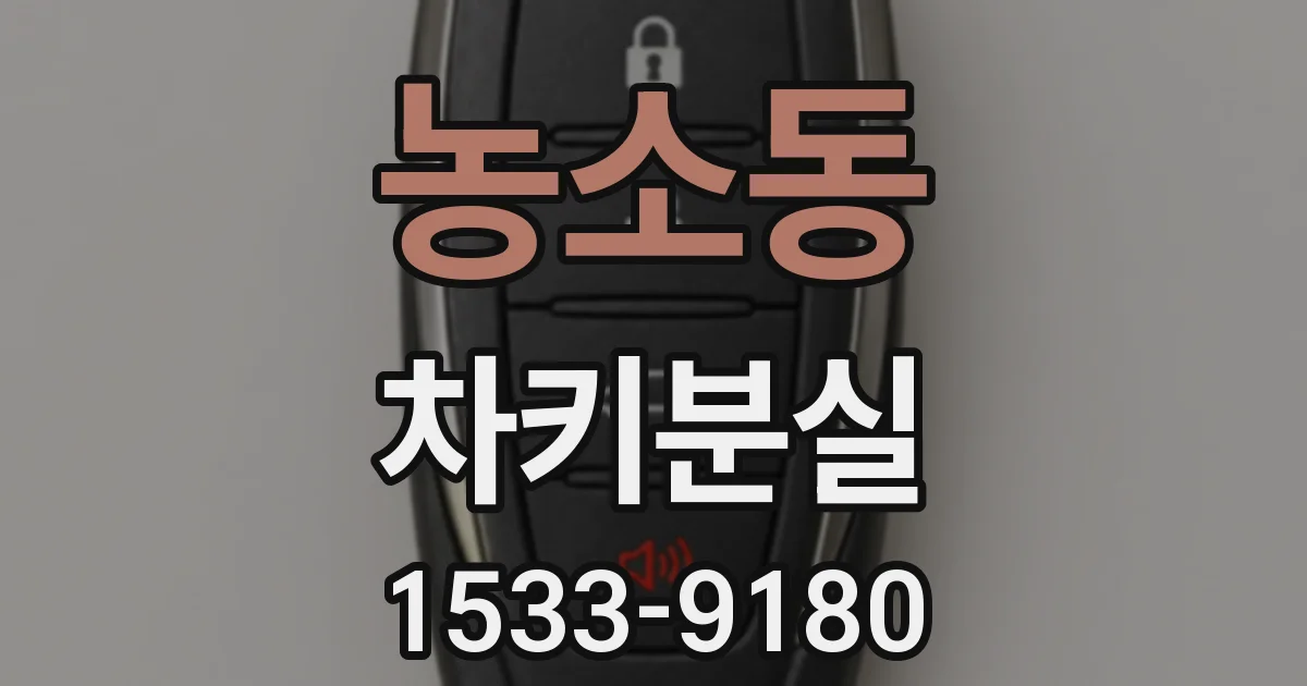 농소동 차키분실