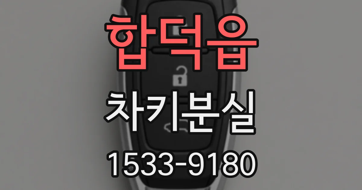 합덕읍 차키분실