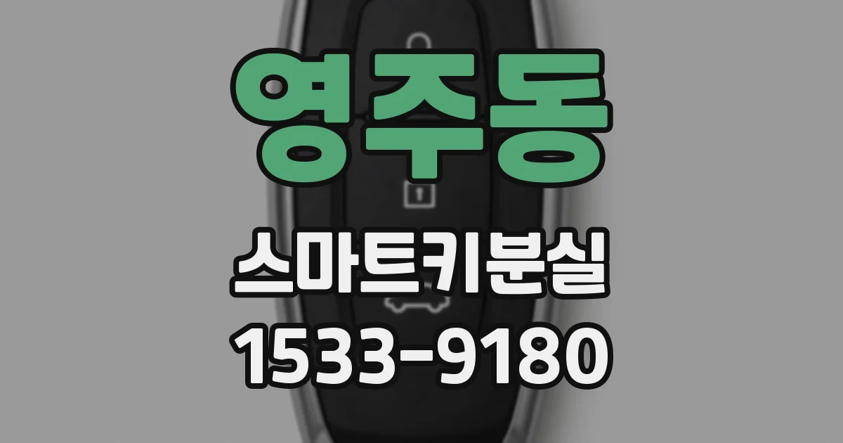 영주동 스마트키분실