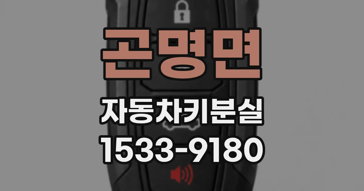 곤명면 자동차키분실