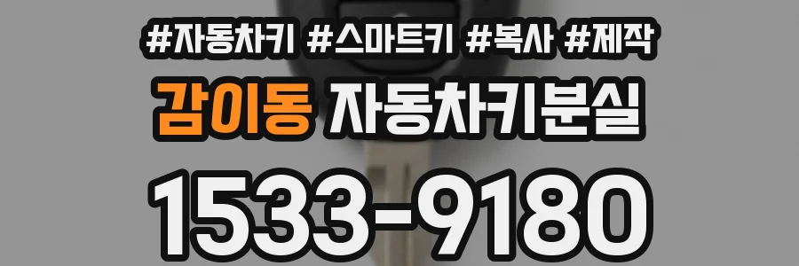 감이동 자동차키분실
