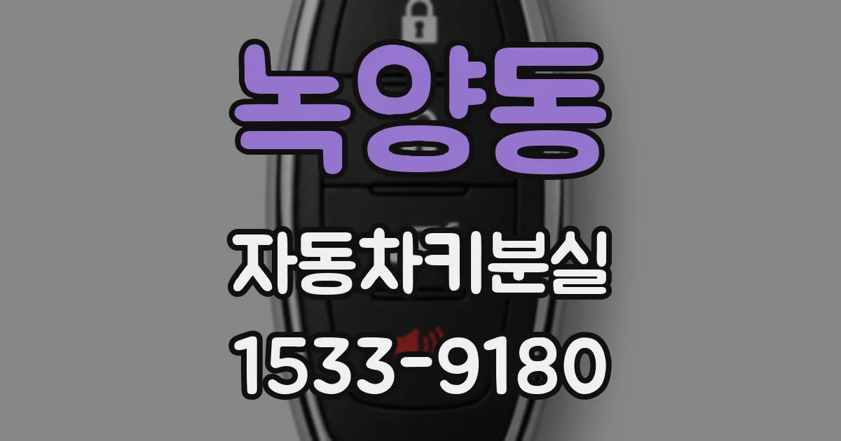 녹양동 자동차키분실