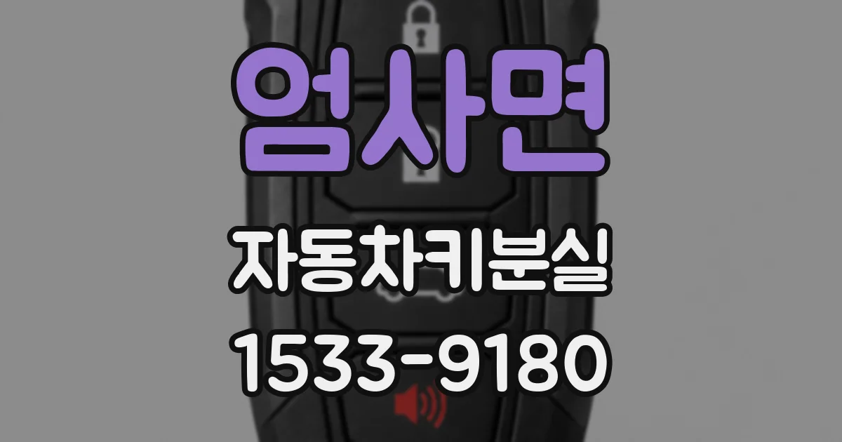 엄사면 자동차키분실